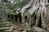 Ta Prohm